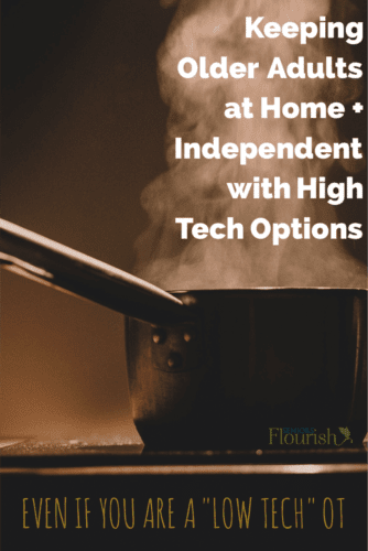 Easy High Tech Ideas for OTs Who Do Not Work in Assistive Technology. Great practical solutions to keep older adults at home and independent | SeniorsFlourish.com #OT #COTA